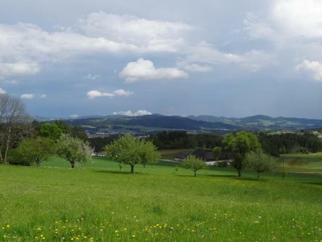 Apartmán Desl'S Little Farm Waldburg Exteriér fotografie