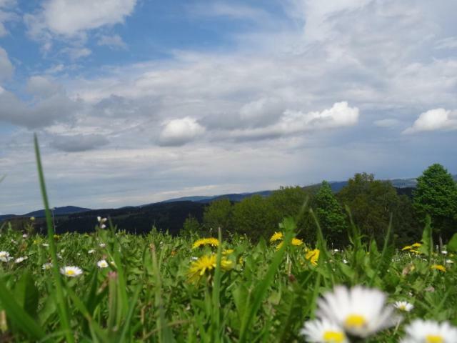 Apartmán Desl'S Little Farm Waldburg Exteriér fotografie